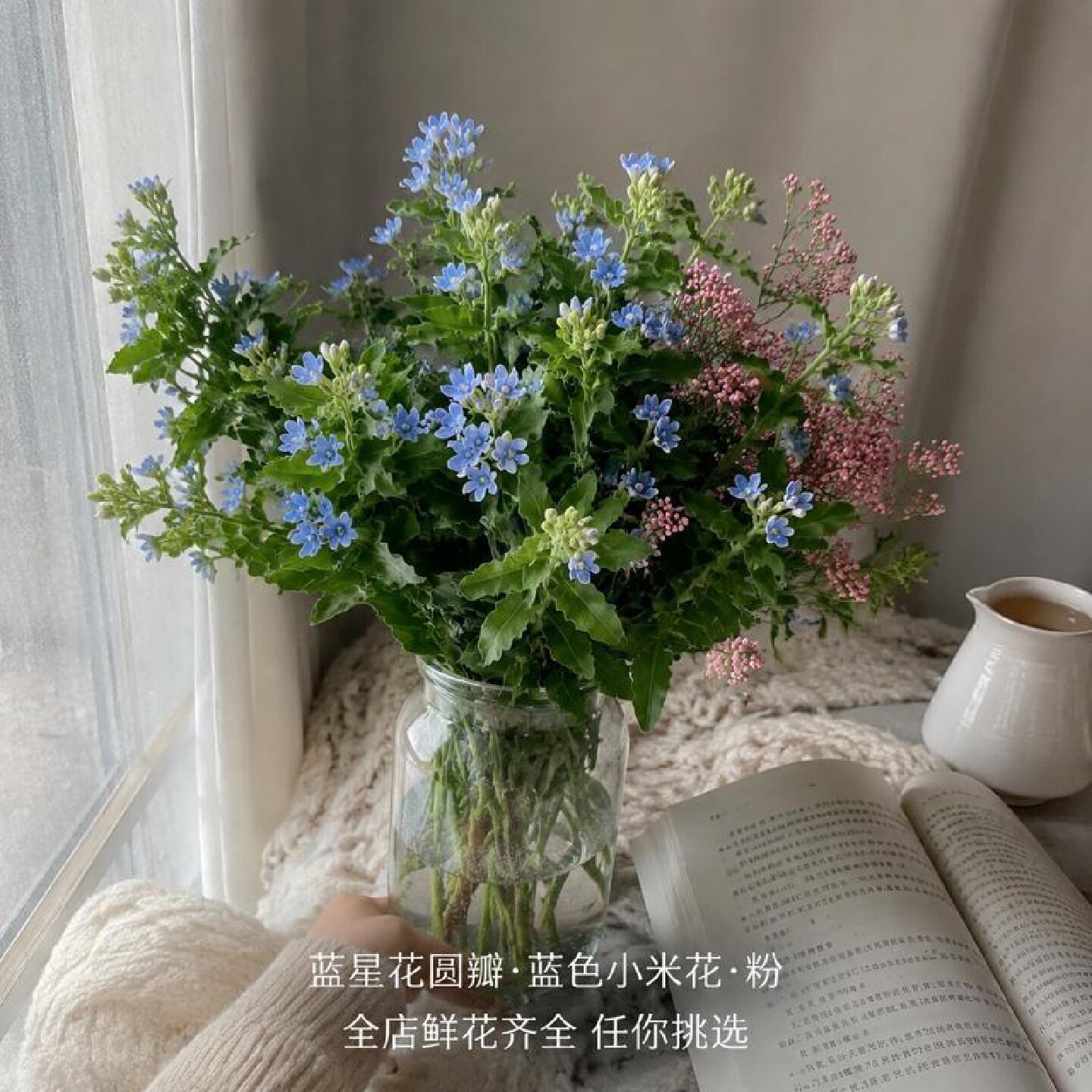 蓝星花圆瓣蓝色配小米花粉斗南基地直发鲜花花束搭配婚庆家居插花