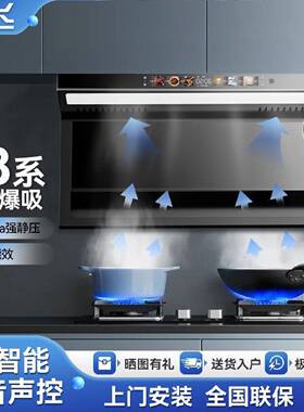 顶侧双吸新飞油烟机家用厨房大吸力新款吸油机免拆洗智能烟机