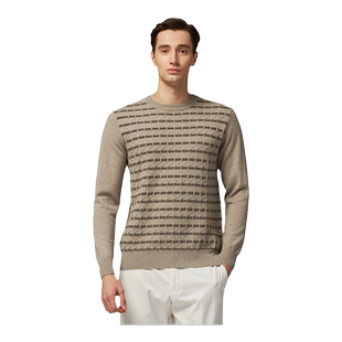 圣雪绒2019秋冬新品羊绒衫男士圆领森林色系几何提花休闲针织衫