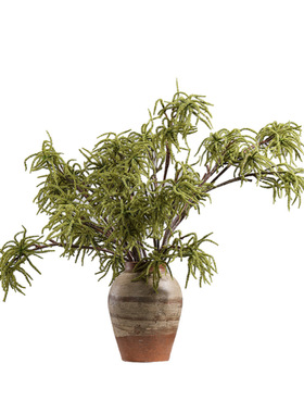 妖及软胶蕨类植物造景插花摆件