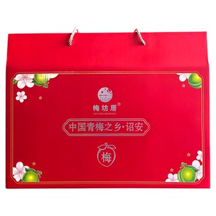 青梅话梅蜜饯大礼盒装 节日送礼年货节休闲零食开味解腻 诏安特产