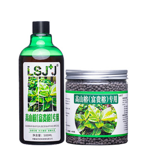 高山榕专用肥富贵榕肥料大型榕树营养液榕树须复合肥有机肥缓释肥