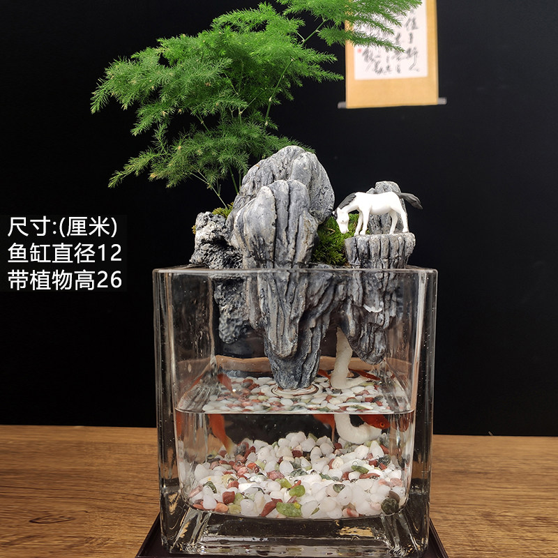 流水版苔藓微景观生态瓶鱼缸文竹盆栽盆景植物室内绿植办公桌水培