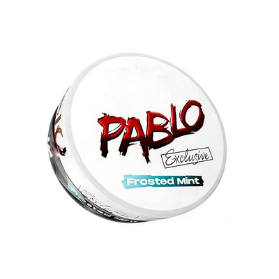 海外进口正品PABLO口含袋velo唇袋snus 口嚼新款代购飞机高铁多选