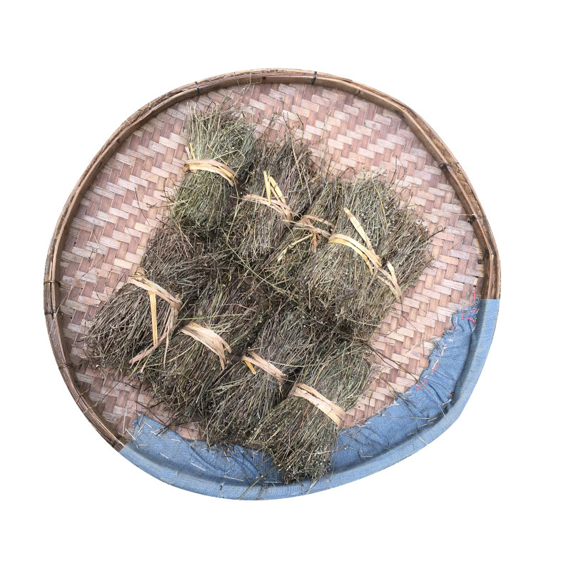 野生白花蛇舌草百花蛇舌草半枝莲
