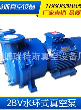 2BV真空泵 现货供应2BV2060水环式304材质直连式 真空泵