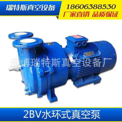 2BV真空泵 现货供应2BV2060水环式304材质直连式 真空泵