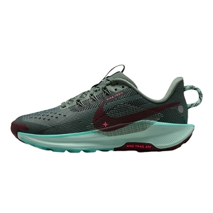 NIKE耐克儿童鞋PEGASUS TRAIL 5飞马大童户外跑步鞋FV5638-301