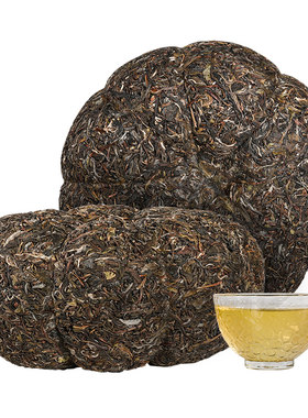 百花岭6斤头春3000g窝窝金瓜贡茶
