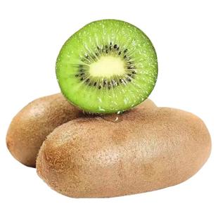 陕西周至金福猕猴桃新品种新鲜采摘大果水果包邮圆柱形绿肉奇异果