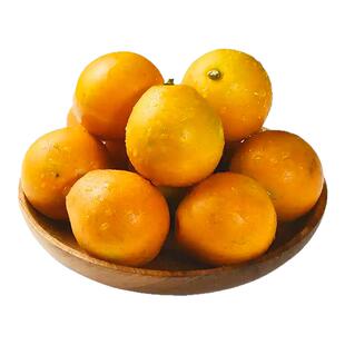 正宗广西融安脆蜜金桔第三代金桔纯甜多汁新鲜金桔大果直发顺丰