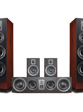 惠威RM800家庭影院5.0音响