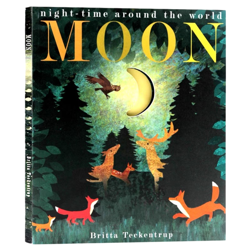 Moon月亮 英文原版科普绘本 儿童英文早教亲子阅读洞洞书 英语自然拼读绘本 大自然的秘密系列 平装大开 挖洞巧妙设计