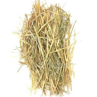 澳洲黄金燕麦草段干草500g兔子龙猫荷兰猪牧草澳麦草可代提摩西草
