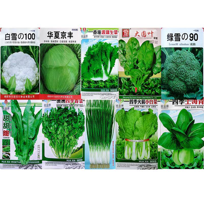秋冬种子套餐甘蓝西兰花白花菜葱