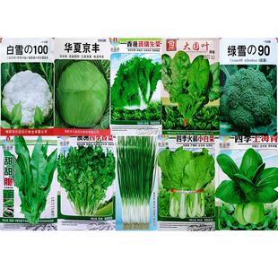 秋冬十种蔬菜种子套餐孑籽甘蓝莲花白小白菜西兰花香菜生菠菜小葱