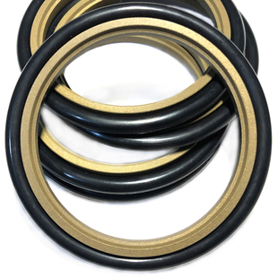 斯特封轴用格莱圈GSR/STd-110*121*125.5/115*126*130.5*4.2*6.3