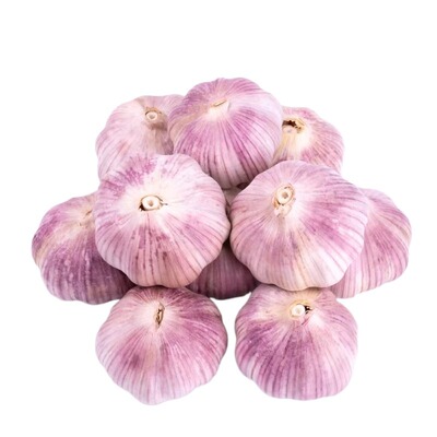 山东金乡新干蒜干大蒜大蒜头批发