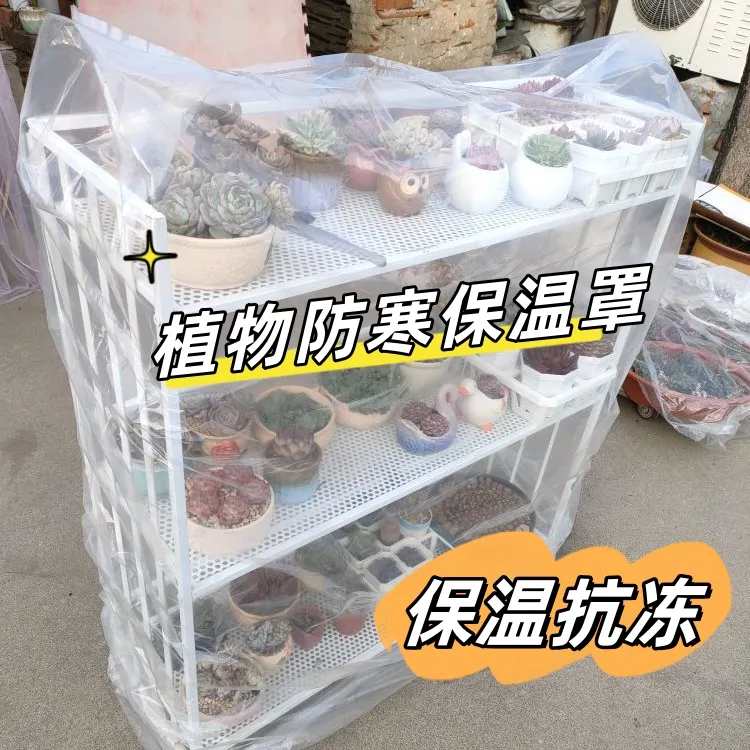 植物过冬防寒罩多肉暖房花卉北方室外三角梅越冬保护塑料棚薄膜袋