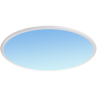 青晴空灯自然光蓝天窗超薄明装卧室60cm客厅直径80cm大圆形吸顶灯