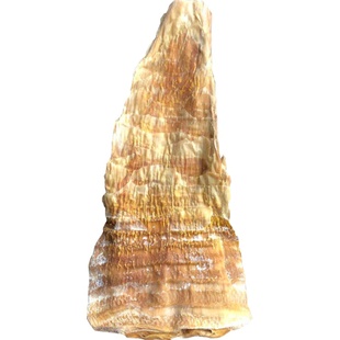 笋干干货福建闽笋干500克压榨笋尖永安农家毛竹明前大片嫩烤笋干