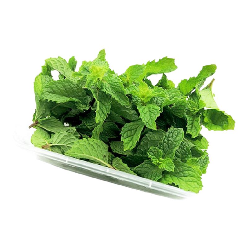 新鲜薄荷叶头 薄荷尖盒装 芽莫吉托烘焙茶饮调酒装饰