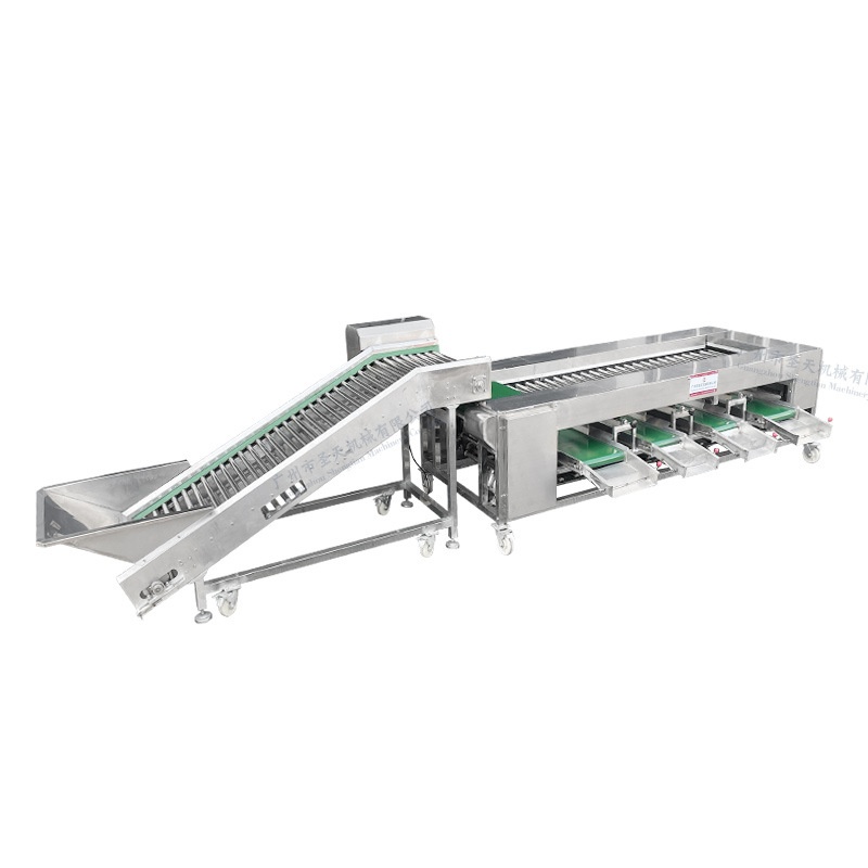 土豆分级选果机 西红柿荔枝荔枝果蔬分选机 滚杠大小分拣不伤果