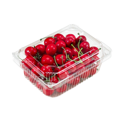 一次性果蔬打包盒水果店保鲜盒