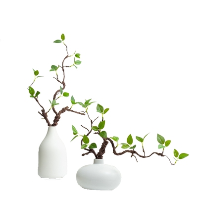 仿真绿植客厅餐桌仿真海棠花摆件