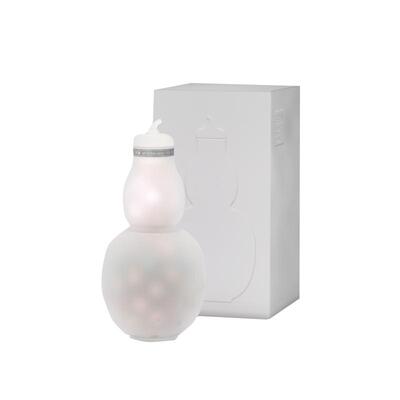 福鼎白茶茶叶白茶花茶寿眉白牡丹