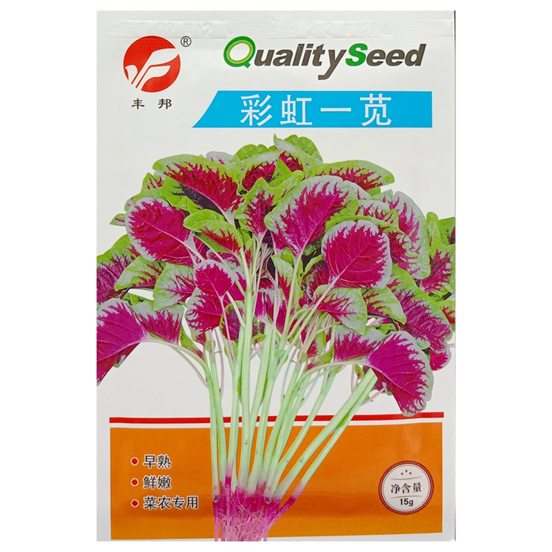 彩虹一苋苋菜种子耐抽苔红圆叶汉汗旱菜花红红绿相间种籽15克/袋