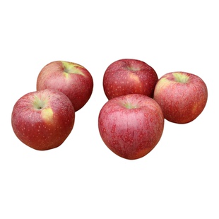正宗山西秦冠苹果新鲜水果粉面沙甜可脆可粉宝宝刮泥吃非红星苹果