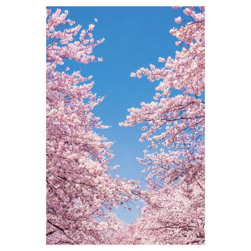 新款樱花背景布儿童室内写真挂布