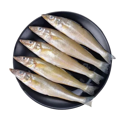 青岛本地海捕沙丁鱼新鲜速冻
