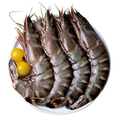 高品质特大黑虎虾坏单包赔