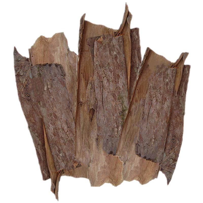 红豆杉树皮赤柏松正宗南方紫杉醇