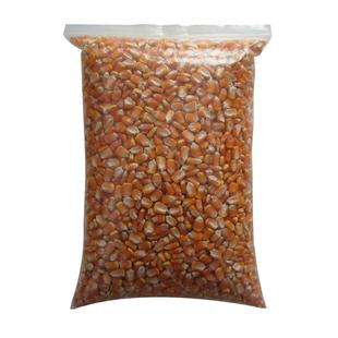 食用大颗玉米粒爆米花老式爆米花钓鱼优质玉米大颗粒干玉米粒人吃