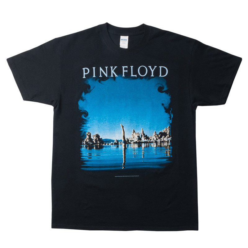正版pinkfloyd短袖vintage乐队