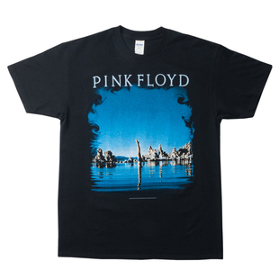 正版Pink Floyd平克弗洛伊德乐队湖水vintage摇滚短袖T恤官方现行