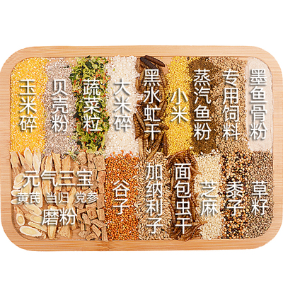 芦丁鸡产蛋粮模拟野外环境