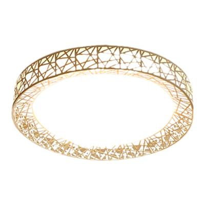 鸟巢现代简约普利达led