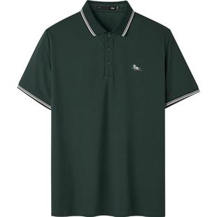 HLA/海澜之家马年贺岁刺绣短袖POLO衫2026春夏新款凉感翻领T恤男