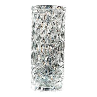 大号家用加厚透明玻璃花瓶摆件富贵竹水培百合干花客厅餐桌插花瓶