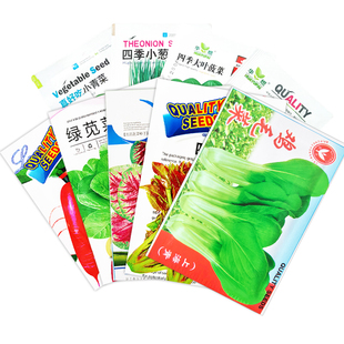 蔬菜种子四季播种阳台农家盆栽香菜菠菜生菜西瓜小葱草莓籽孑大全