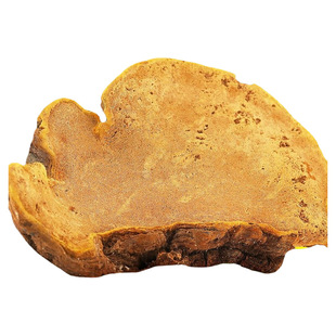 南京同仁堂桑黄西藏林芝野生茶林芝泡酒官方正品旗舰店AA藏红花