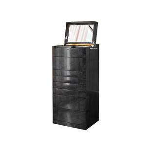 轻奢指纹锁珠宝柜现代设计师豪华别墅卧室家用带镜实木首饰收纳柜