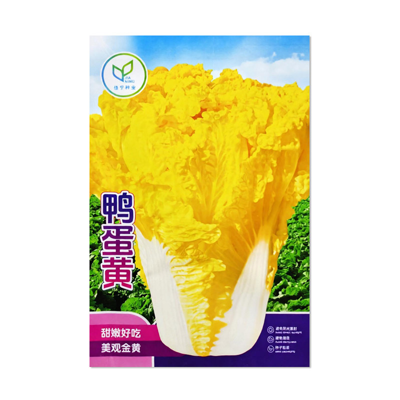 佳宁鸭蛋黄白菜种子蔬菜种子