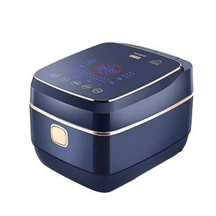 格力大松铸铁电饭煲家用IH智能多功能微压柴火煮饭锅4升6人0涂层