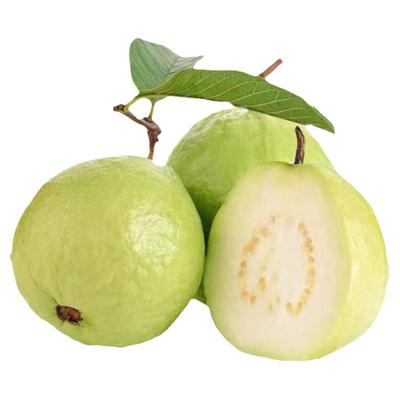 东升本地番石榴皮薄香甜