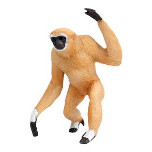 儿童玩具仿真野生动物模型实心猩猩猴子猿猴塑胶摆件早教科教认知